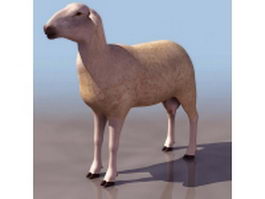Female sheep(ewe) 3d model preview