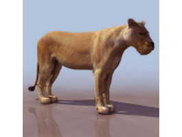 Female lion (lioness) 3d model preview