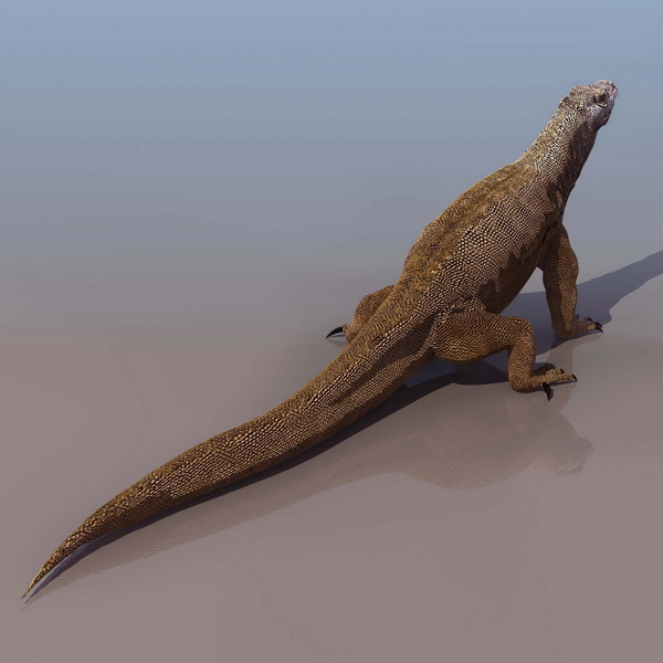 Komodo dragon 3d rendering