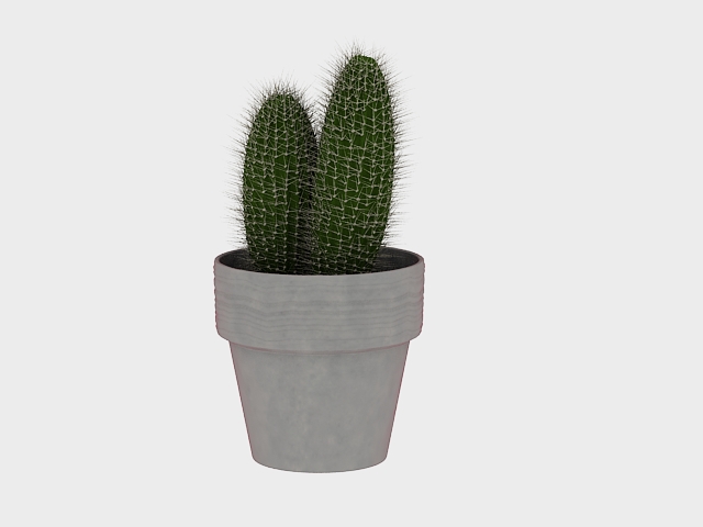 Potted globe cactus 3d rendering