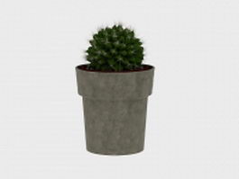 Potted ball cactus 3d model preview