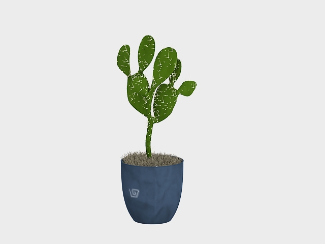 Potted plant cactus 3d rendering