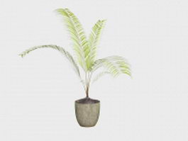 Potted palm tree 3d model preview