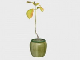 Indoor potted plant 3d model preview