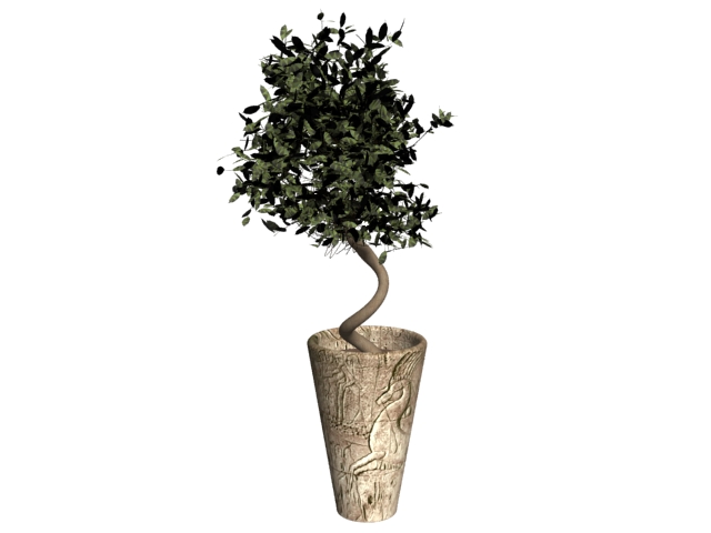 Decorative plant potted tree 3d rendering