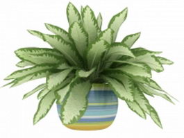 Potted sansevieria 3d model preview