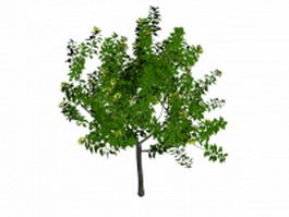 Broad-leaved tree 3d model preview
