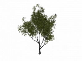 Babylon willow tree 3d model preview
