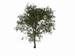 European mountain-ash tree 3d model preview