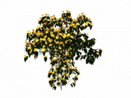 Yellow blossoms on tree 3d model preview