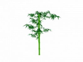 Green bamboo with leaves 3d model preview