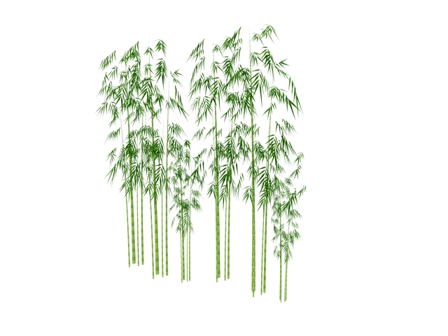 Clustered bamboo 3d rendering