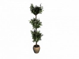 Potted money plant tree 3d model preview