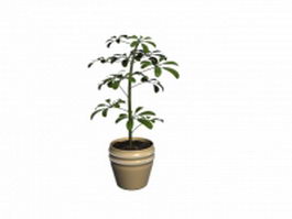 Decorative house plant pot 3d model preview