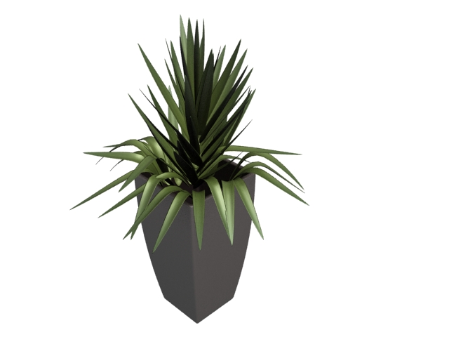 Potted gladiolus with white pot 3d rendering