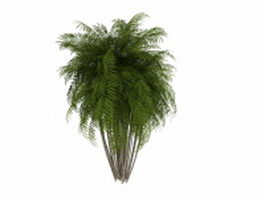 Pacaya palm tree 3d model preview