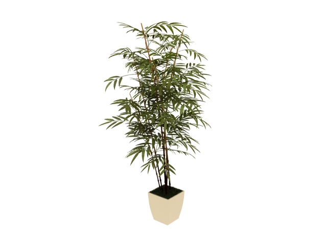 bamboo plant 3d model free download