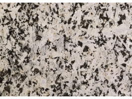 Detailed quartzite slab surface Texture ID16184 - CadNav