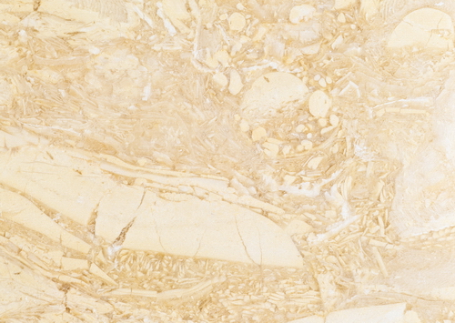 Yellow fossil marble texture