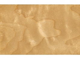 Closeup of Finnish birch wood board texture