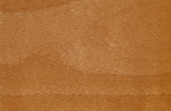 Steamed red beech wood grain texture