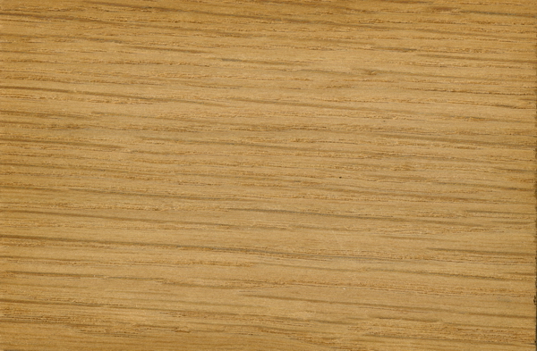 oak texture seamless