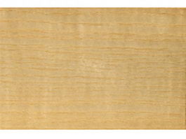 Seamless American ash wood grain texture