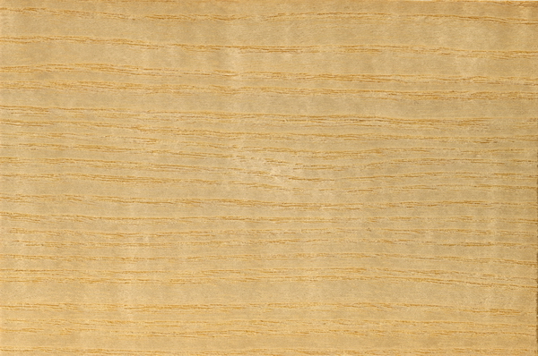 Seamless American ash wood grain texture