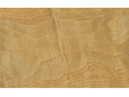 Ash burl wood grain texture