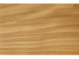Closeup of ash wood grain texture