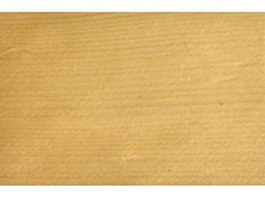Spruce wood grain texture