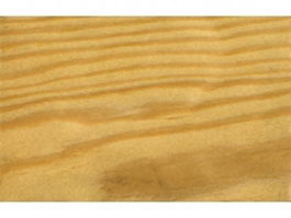 Knobcone pine wood grain texture