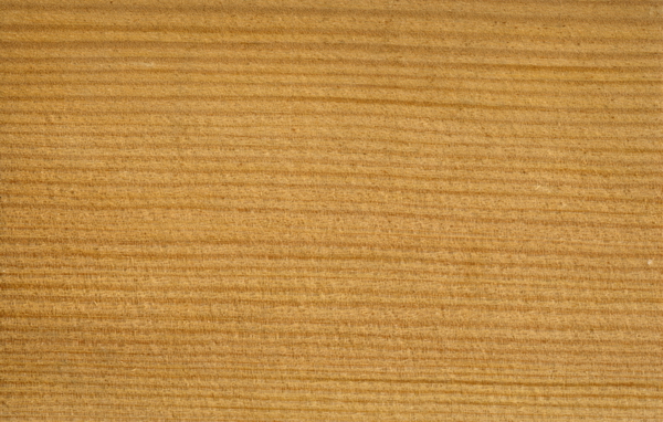White pine wood grain texture