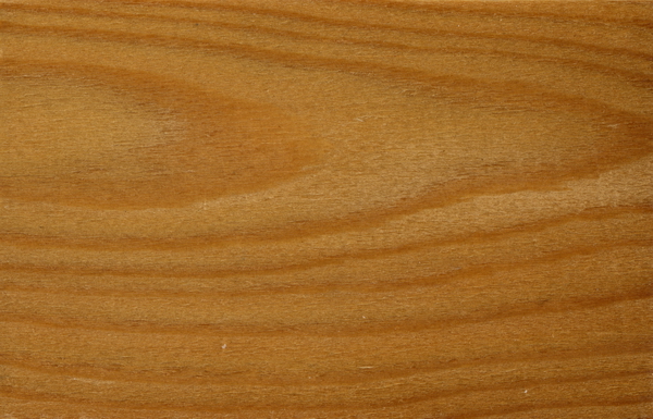 European larch wood grain texture