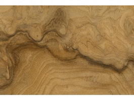 Burl in between olivewood texture