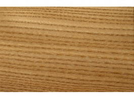 Elm woodgrain texture