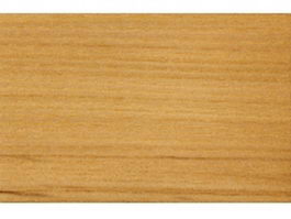 Persian Elm wood texture