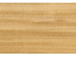 Elm wood plank texture