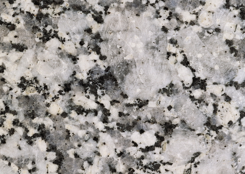 Closeup of venus white granite slab texture