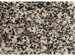 Golden autumn grain granite slab surface texture