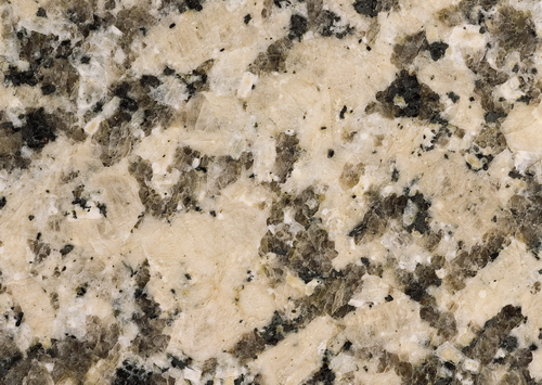 Giallo Fioriot granite slab texture