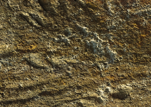 rough limestone texture
