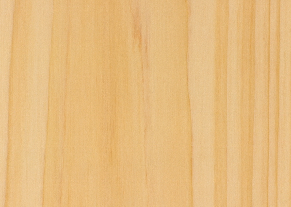 maple wood grain texture