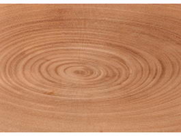 Growth rings of a tree texture