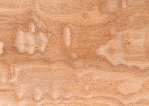 Timber burl texture