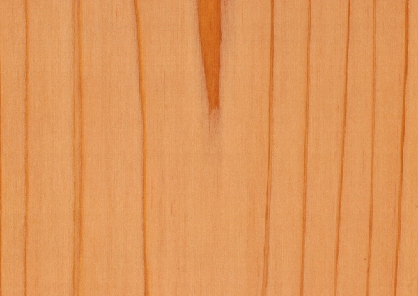 Sandy brown wood grain texture