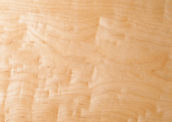 Close up burl wood grain background texture