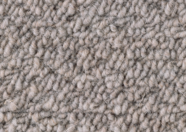 Loop pile gray wool carpet texture
