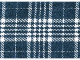 Blue and white plaid fabric texture