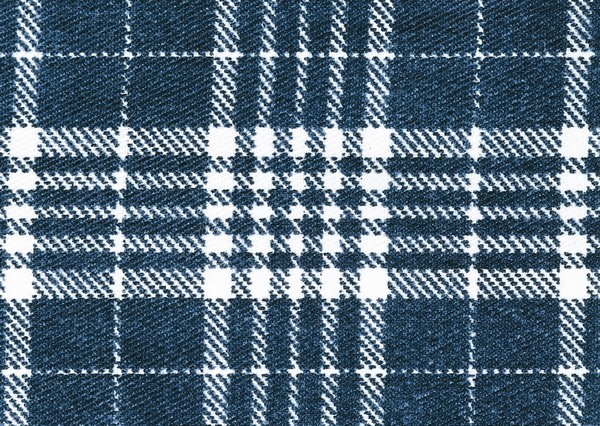 Blue and white plaid fabric texture